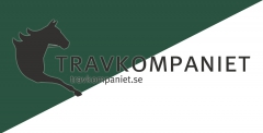 Travkomp vimpel low